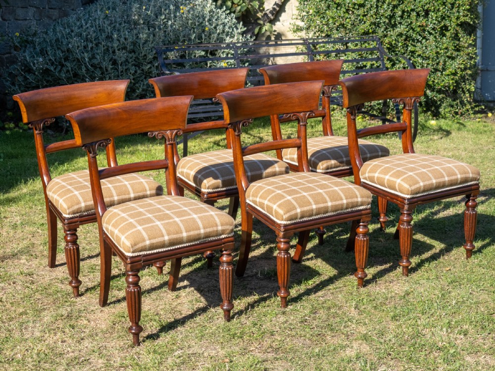 Set of 6 Regency Mahogany Upholstered Dining Chairs C1830 (William IV) View III