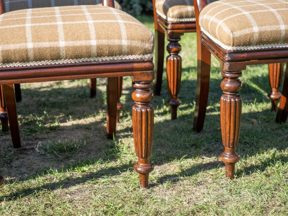 Set of 6 Regency Mahogany Upholstered Dining Chairs C1830 (William IV) View VIII