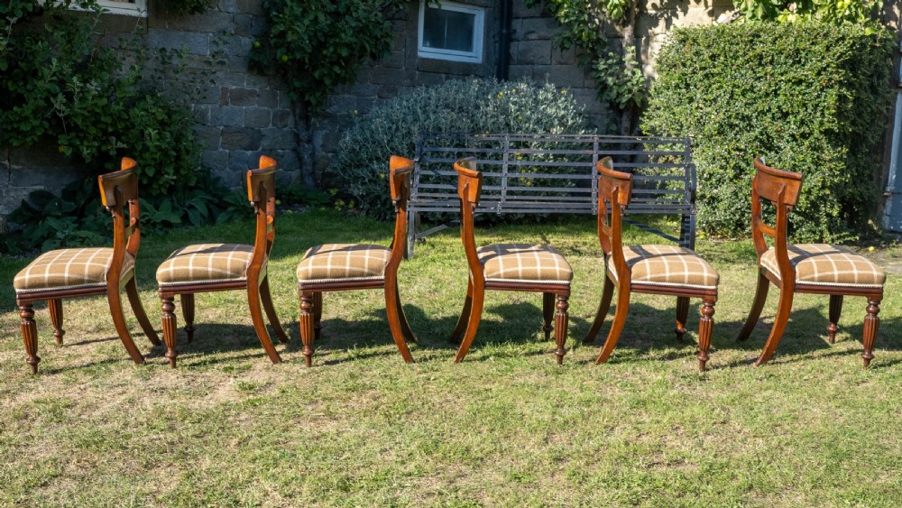 Set of 6 Regency Mahogany Upholstered Dining Chairs C1830 (William IV) View X
