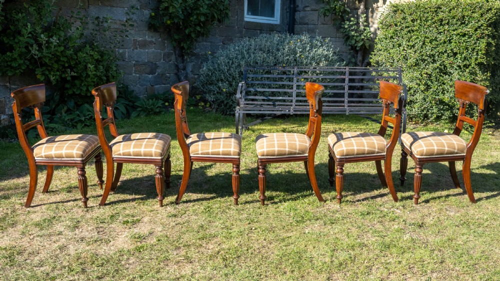Set of 6 Regency Mahogany Upholstered Dining Chairs C1830 (William IV) View XII