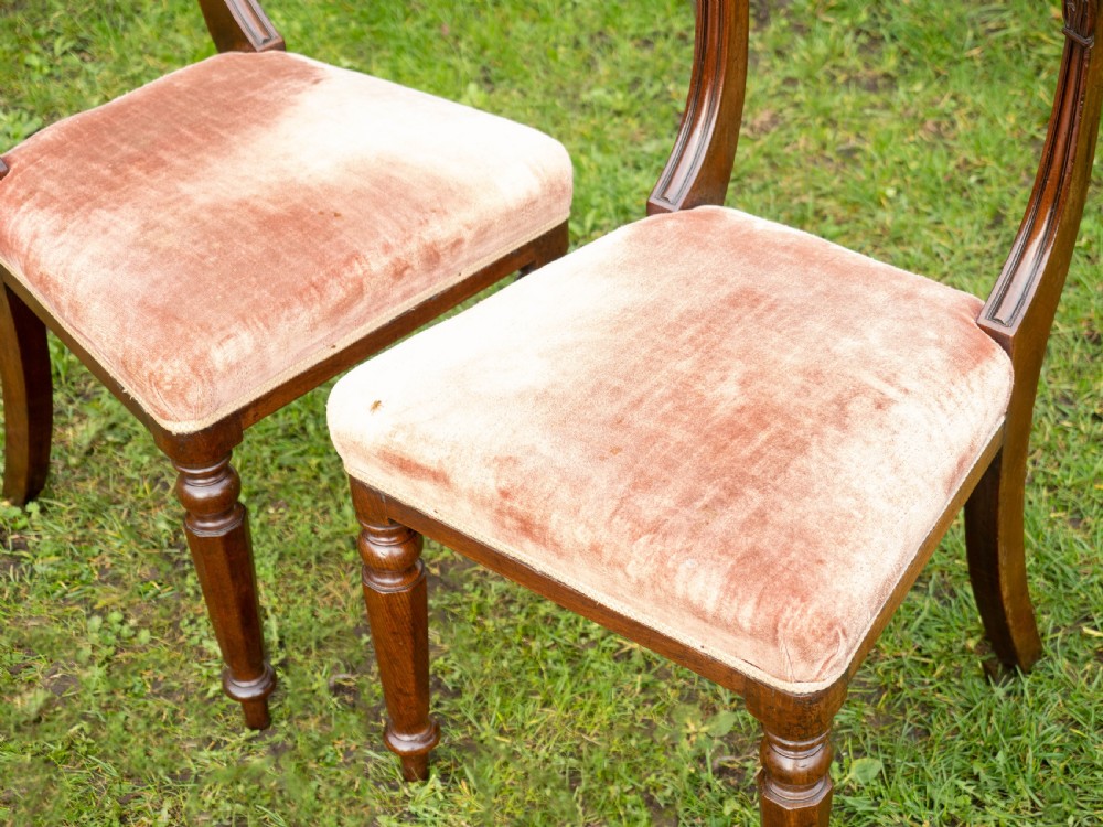 Regency Set of 4 Mahogany Bar Back Dining Chairs (Georgian) View XI