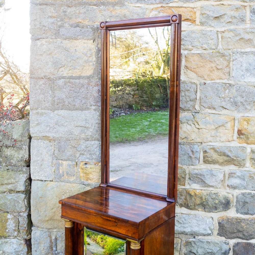 Regency Rosewood Pier Glass Mirror & Cabinet (George IV / III / Georgian) View IV