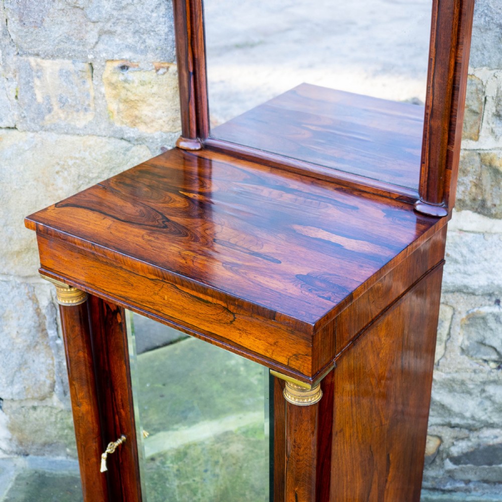 Regency Rosewood Pier Glass Mirror & Cabinet (George IV / III / Georgian) View V