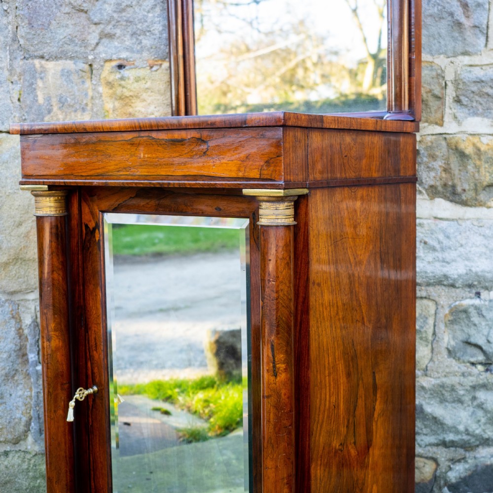 Regency Rosewood Pier Glass Mirror & Cabinet (George IV / III / Georgian) View VI