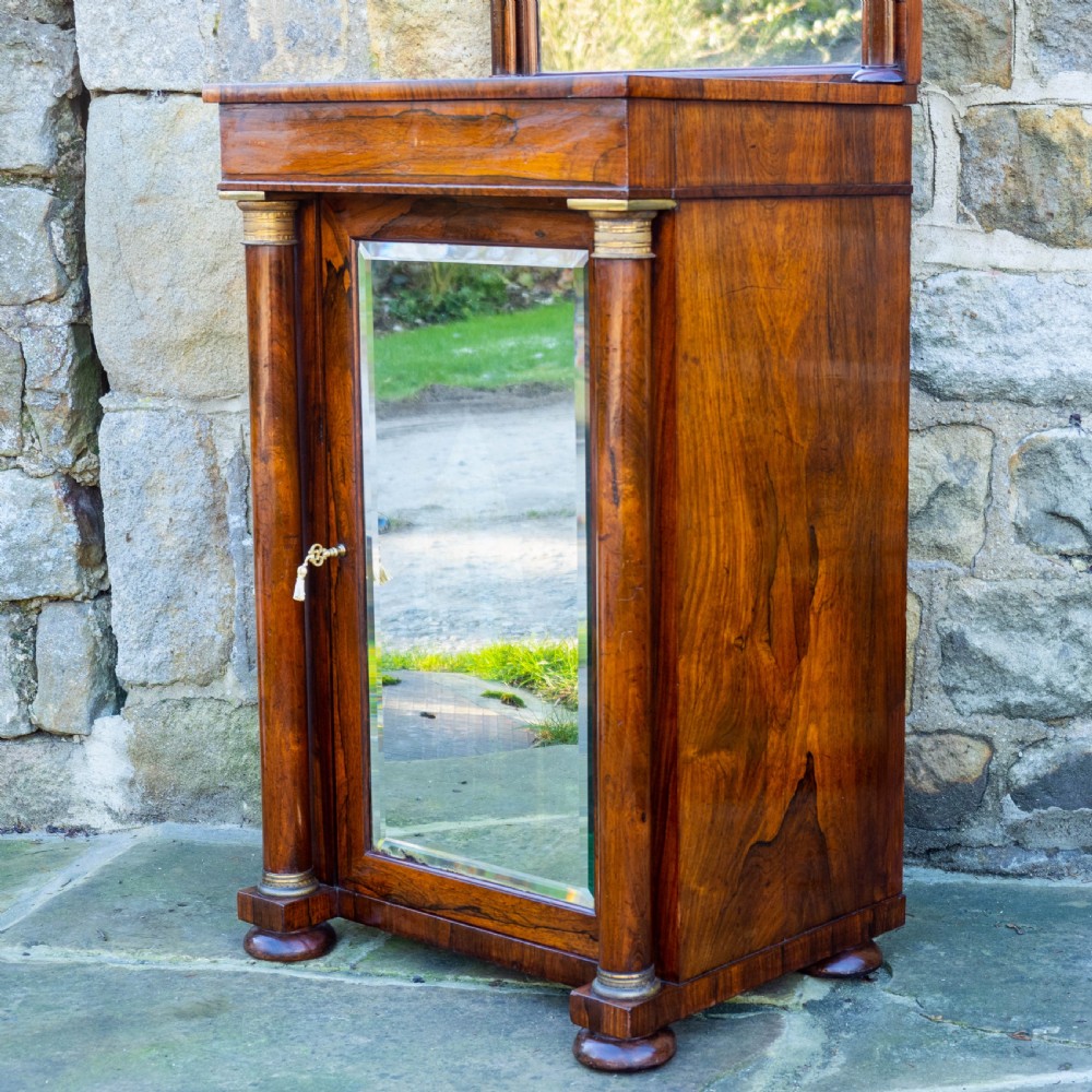 Regency Rosewood Pier Glass Mirror & Cabinet (George IV / III / Georgian) View VIII