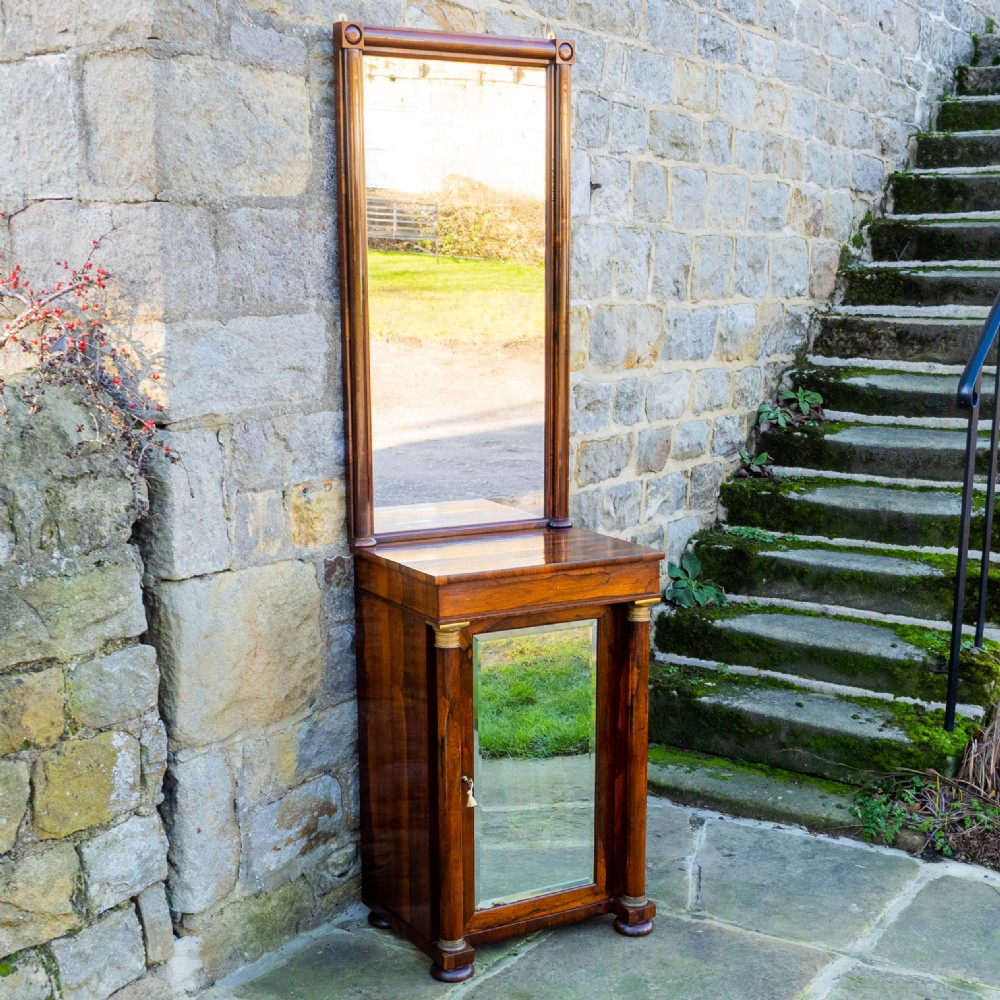 Regency Rosewood Pier Glass Mirror & Cabinet (George IV / III / Georgian) View XI