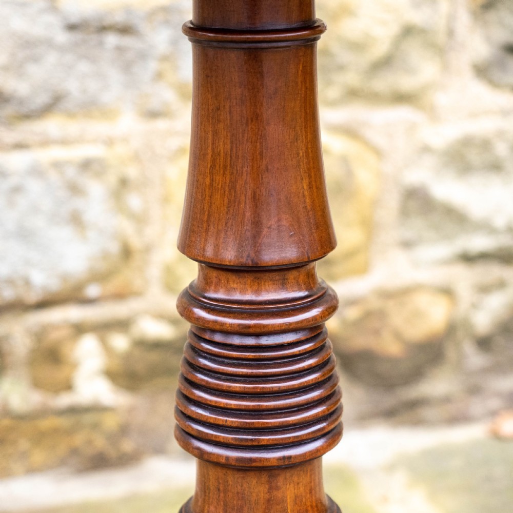 Georgian Mahogany Tilt Top Tripod Supper Table (George III) View XIX
