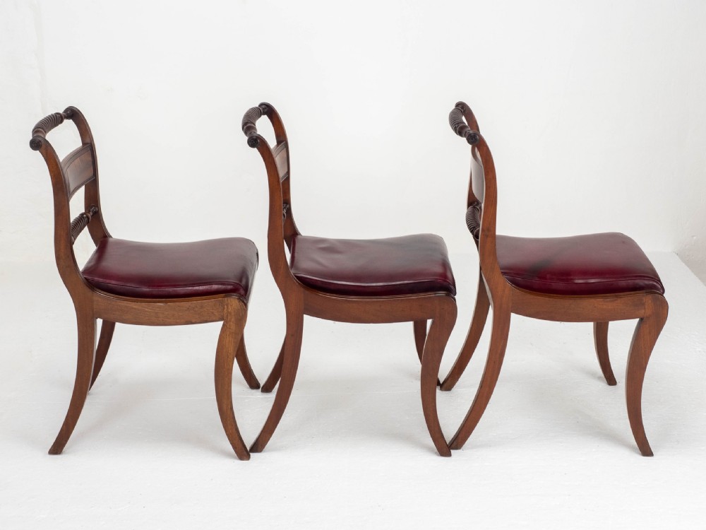 Regency Mahogany Leather Set of 6 Rope Back Dining Chairs (Georgian) View XIX