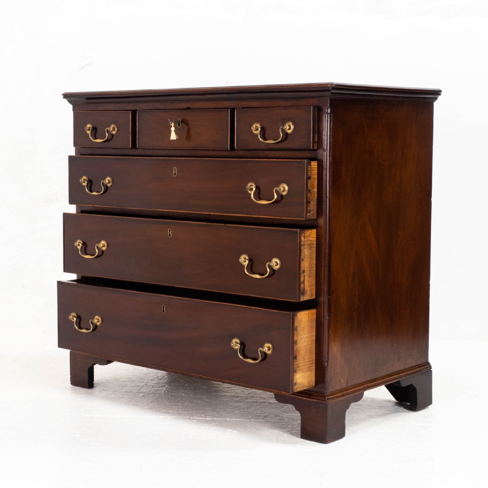 George III Mahogany Straight Front Chest of Drawers (Georgian) View V