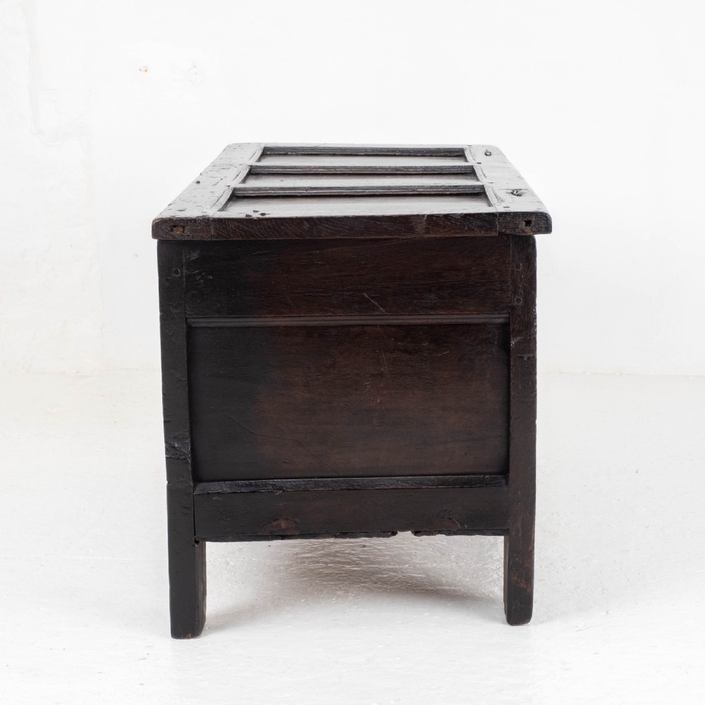 Late C17th Carolean Small Dark Oak Panelled Coffer (Charles II, Jacobean) View IV