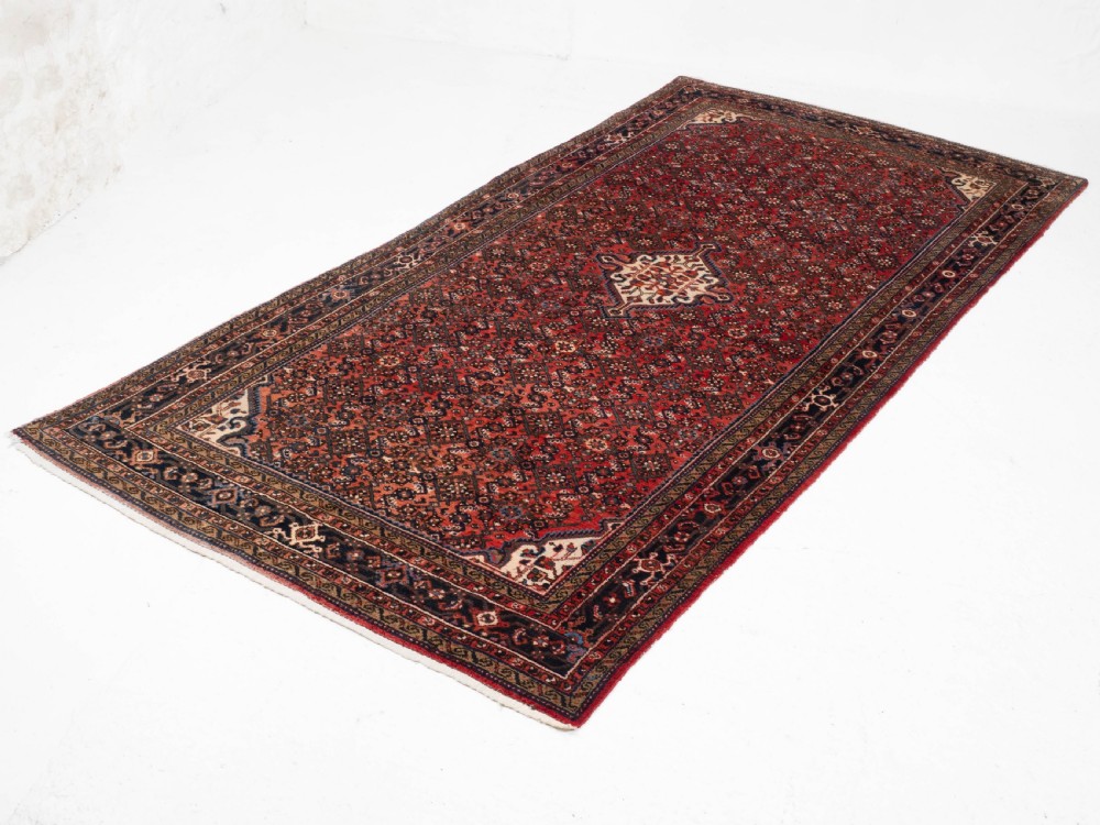 Hosseinabad Khelleh Persian Hamadan Long Rug 10'4