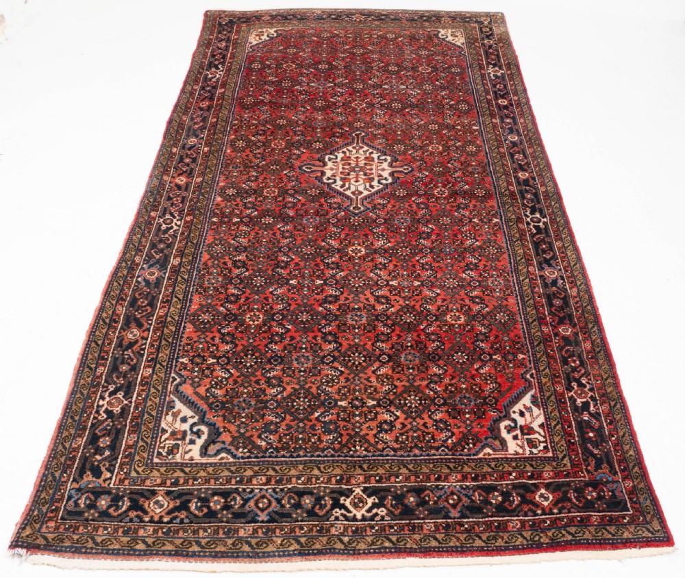 Hosseinabad Khelleh Persian Hamadan Long Rug 10'4