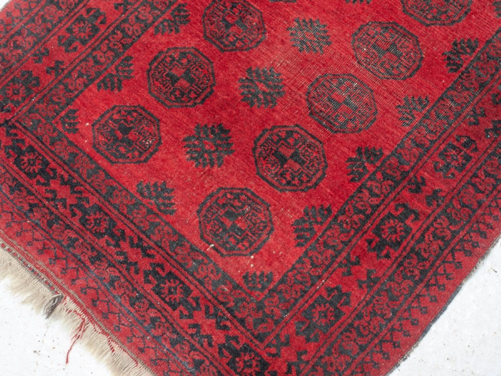 Afghan Turkmen Bokhara Tekke Rug C1930 6'2