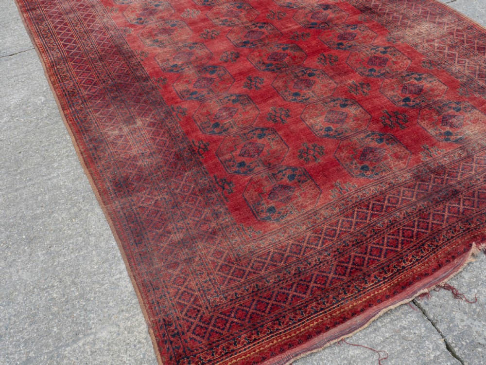 Antique C.19th Ersari Turkmen Afghan Carpet 15'6