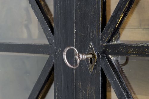 19TH CENTURY FRENCH GLAZED TWO DOOR EBONISED BOOKCASE - ADDITIONAL PHOTO 5