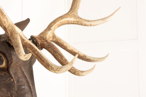 LARGE SCALE 19TH CENTURY CARVED WOOD STAGS HEAD - ADDITIONAL PHOTO 4
