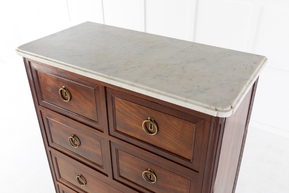 19th Century French Mahogany Cabinet View III