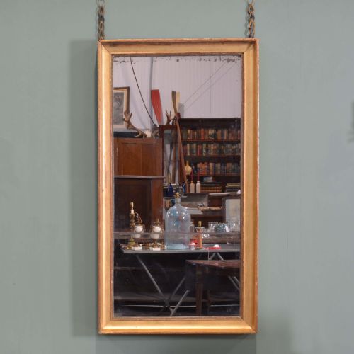 19TH CENTURY FRENCH SPLIT PLATE GILTWOOD MIRROR
