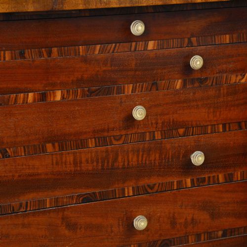 SMALL SHERATON MAHOGANY COLLECTOR'S CABINET ON STAND - ADDITIONAL PHOTO 5