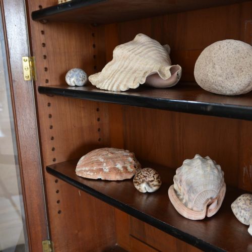 GLAZED BOOKCASE WITH CRENELATED CORNICE BY JAMES WINTER SONS - ADDITIONAL PHOTO 6