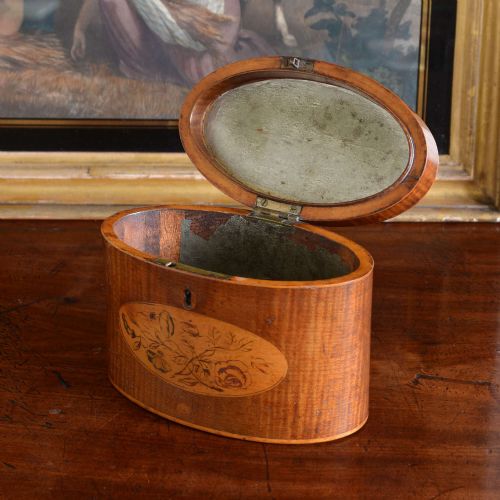 SHERATON OVAL HAREWOOD TEA CADDY - ADDITIONAL PHOTO 4