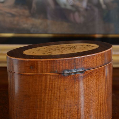 SHERATON OVAL HAREWOOD TEA CADDY - ADDITIONAL PHOTO 6