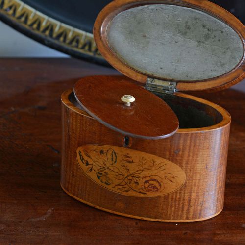 SHERATON OVAL HAREWOOD TEA CADDY - ADDITIONAL PHOTO 7