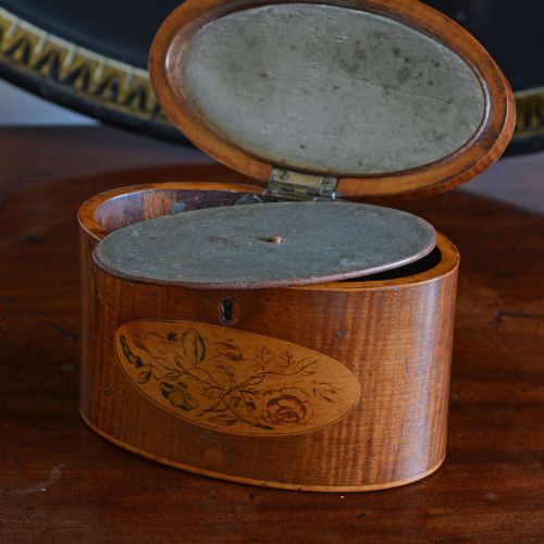 SHERATON OVAL HAREWOOD TEA CADDY - ADDITIONAL PHOTO 8
