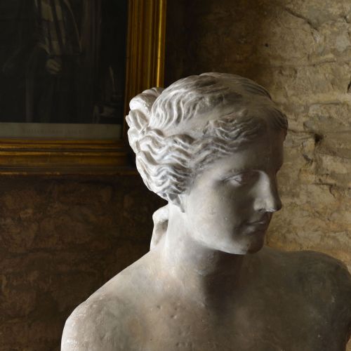 19TH CENTURY PLASTER BUST OF VENUS DE MILO - ADDITIONAL PHOTO 1