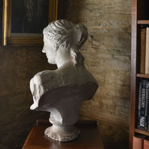 19TH CENTURY PLASTER BUST OF VENUS DE MILO - ADDITIONAL PHOTO 2
