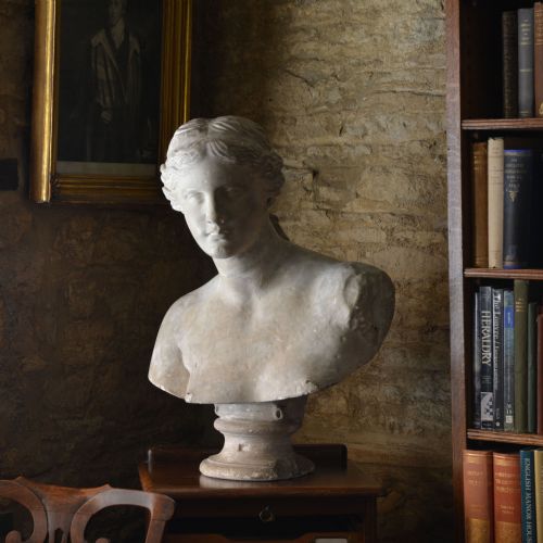 19TH CENTURY PLASTER BUST OF VENUS DE MILO - ADDITIONAL PHOTO 4