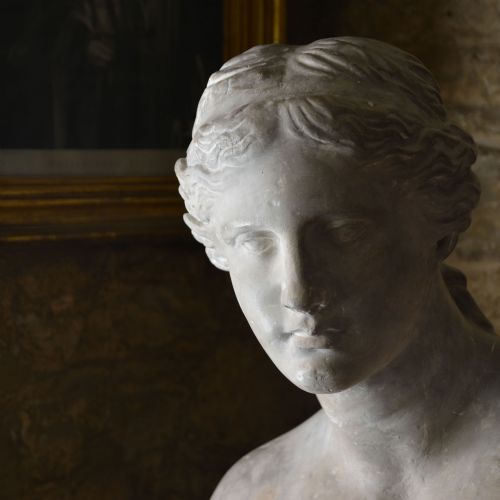 19TH CENTURY PLASTER BUST OF VENUS DE MILO - ADDITIONAL PHOTO 5