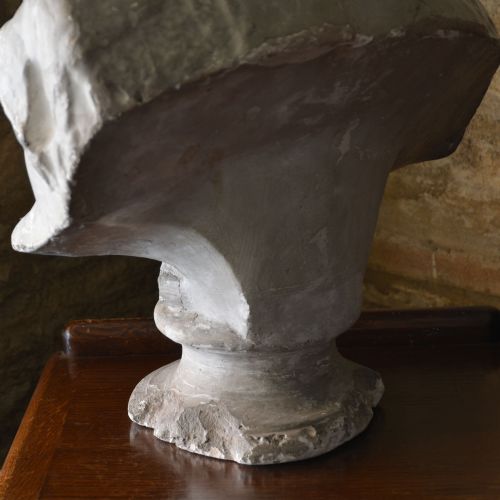 19TH CENTURY PLASTER BUST OF VENUS DE MILO - ADDITIONAL PHOTO 6