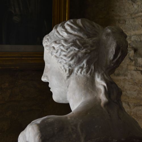 19TH CENTURY PLASTER BUST OF VENUS DE MILO - ADDITIONAL PHOTO 7