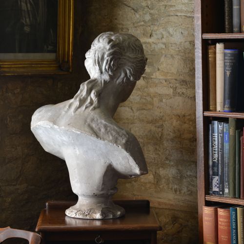 19TH CENTURY PLASTER BUST OF VENUS DE MILO - ADDITIONAL PHOTO 8