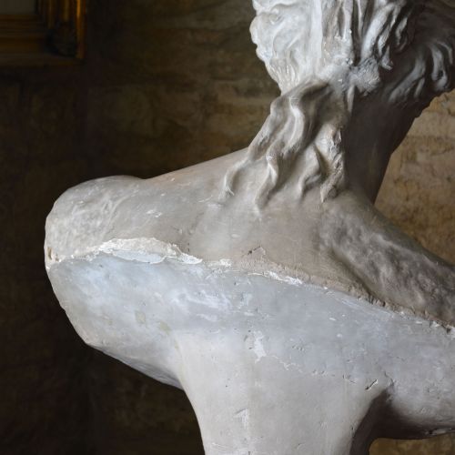 19TH CENTURY PLASTER BUST OF VENUS DE MILO - ADDITIONAL PHOTO 9