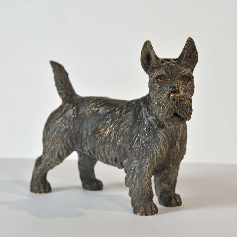 An antique Austrian cold-painted bronze figurine depicting a standing Scottish Terrier with textured dark bronze fur and erect ears.