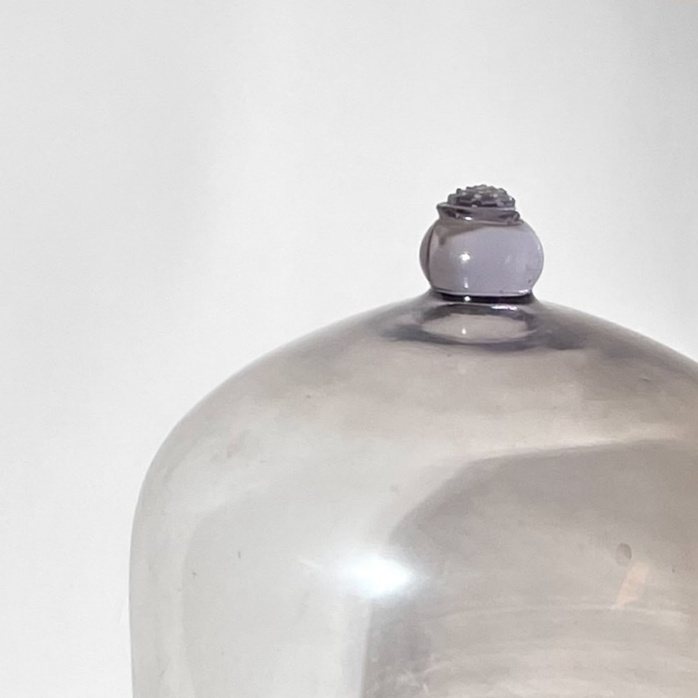 A large clear glass dome cloche featuring a smooth cylindrical body and a decorative glass knob finial on the top apex. View III