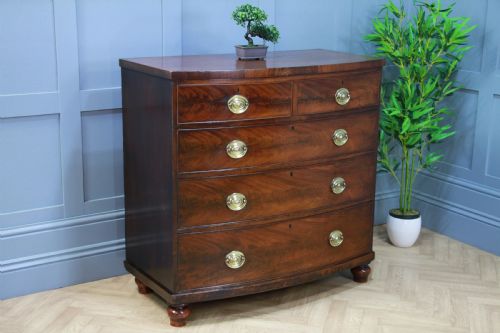Antique Original Georgian Flame Grain Bow Front Mahogany Chest of 5 Drawers 1840
