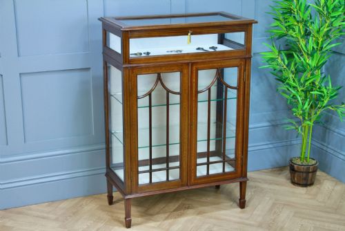 Antique Edwardian Mahogany Inlaid Glazed Collectors Display China Cabinet C1900