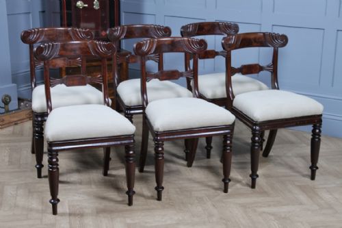 fig 1. Set of 6 Antique Original William IV Mahogany Dining Chairs Regency Carved C1835