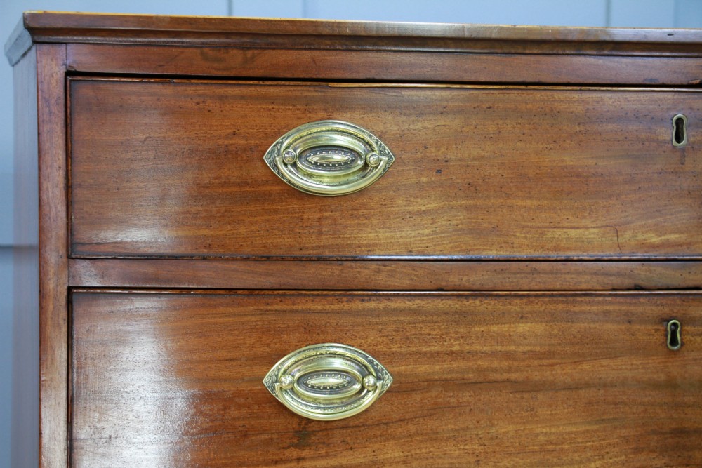Antique Original Georgian Small Bow Front Mahogany Chest of 4 Drawers C1820 View IV