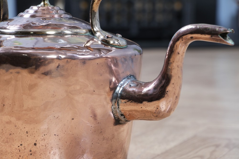 A polished George III copper kettle with a raised brass fixed handle and a curved gooseneck spout. View XII