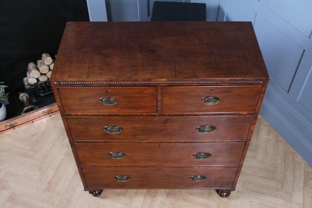 A William IV mahogany chest of drawers featuring two short over three long drawers with oval brass handles and turned feet. View XVIII