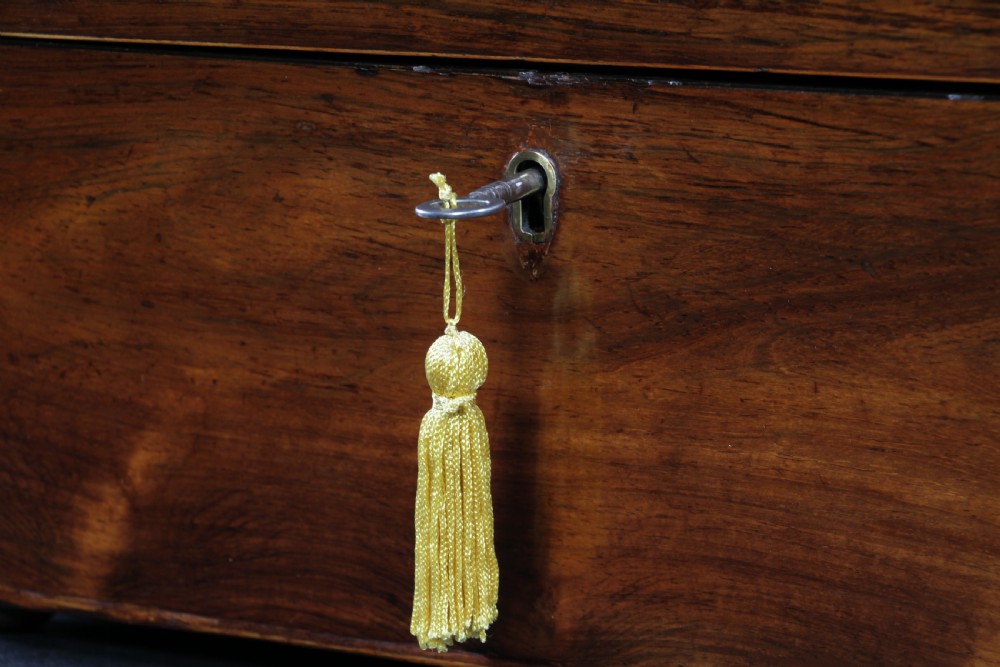 A Georgian rosewood sarcophagus-form tea caddy featuring stringing inlay, brass lion-mask side handles, and a keyhole with a tasselled key. View XIV