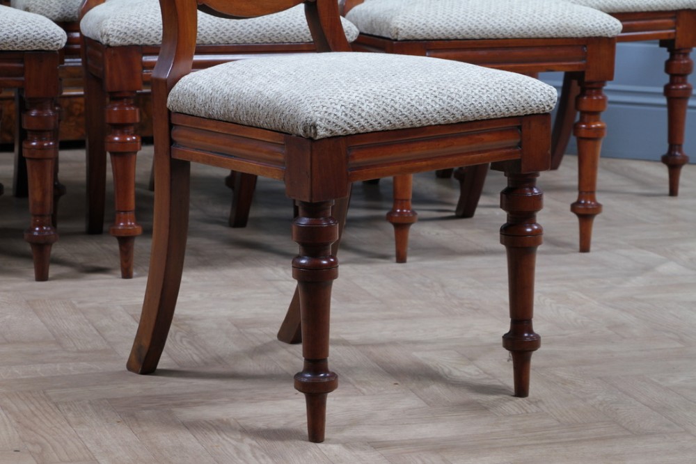 A set of eight Victorian mahogany dining chairs featuring open rounded balloon backs, turned front legs, and neutral patterned upholstered seats. View VII