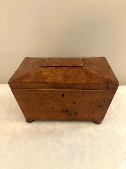 Antique Regency Sarcophagus Shaped  Burr Elm Tea Caddy
