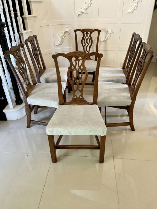 Quality Antique Oak Set of Six George III Chippendale Dining Chairs
 
