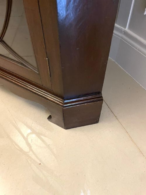 ANTIQUE MAHOGANY ASTRAGAL GLAZED CARVED CORNER CABINET - ADDITIONAL PHOTO 8