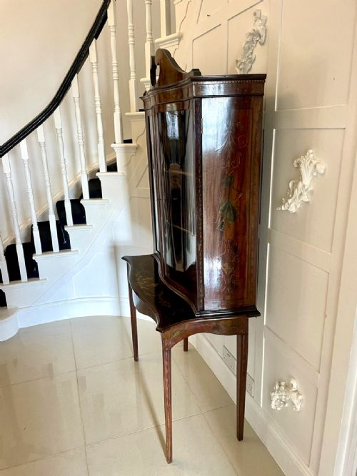 ANTIQUE VICTORIAN QUALITY MAHOGANY DISPLAY CABINET WITH ORIGINAL PAINTED DECORATION - ADDITIONAL PHOTO 15
